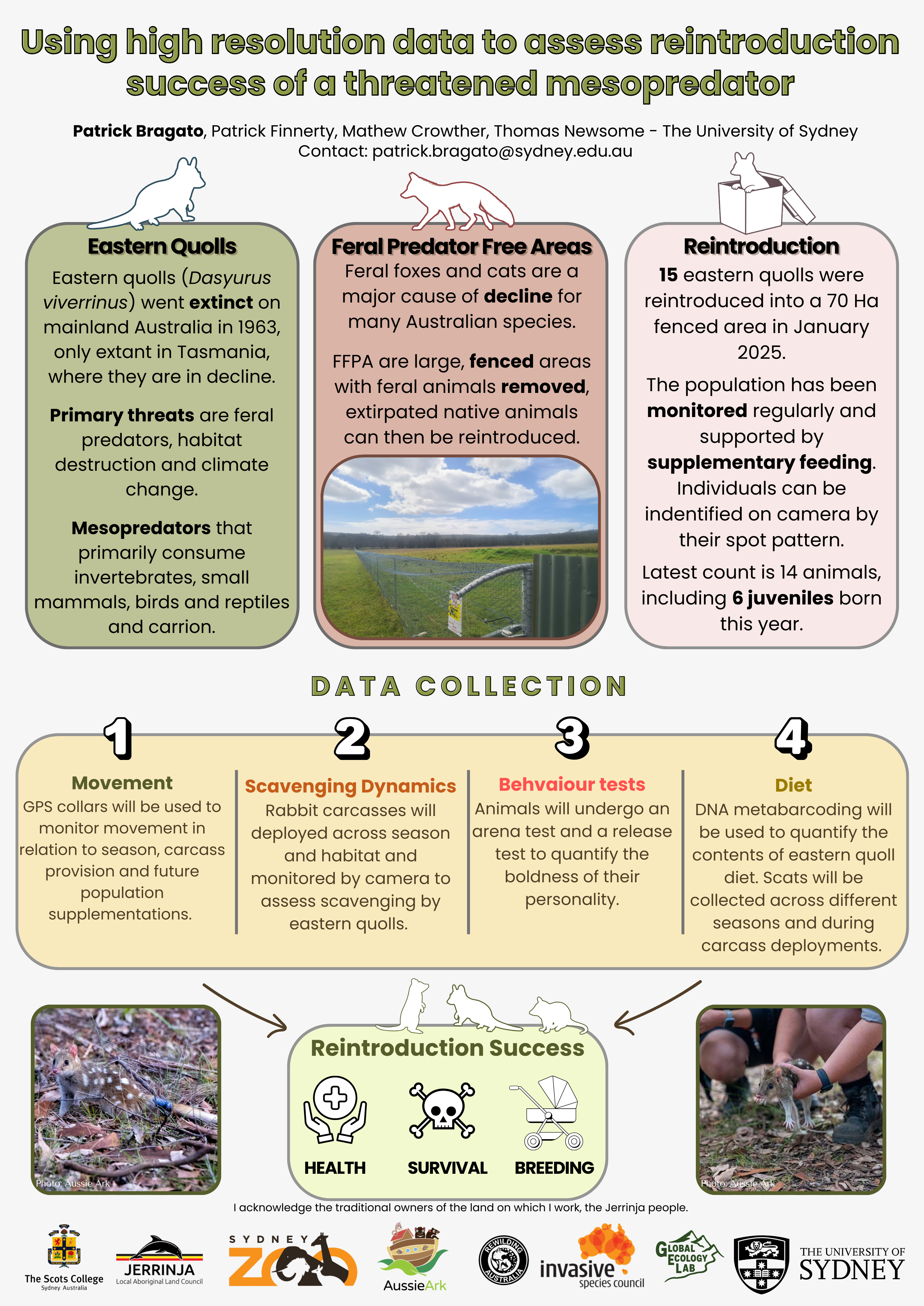 Media and publications – Sydney Rewilding Initiative